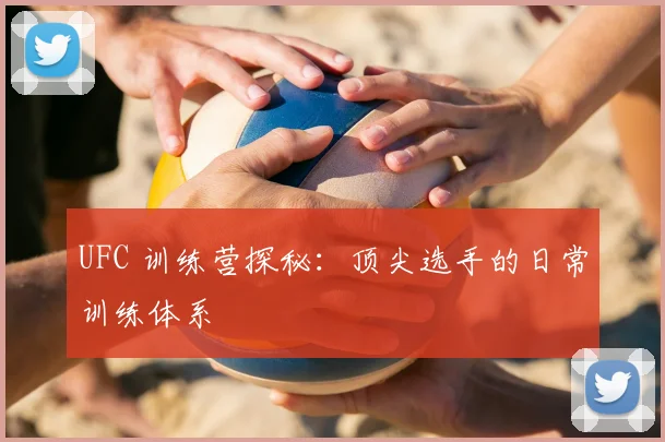 UFC 训练营探秘：顶尖选手的日常训练体系