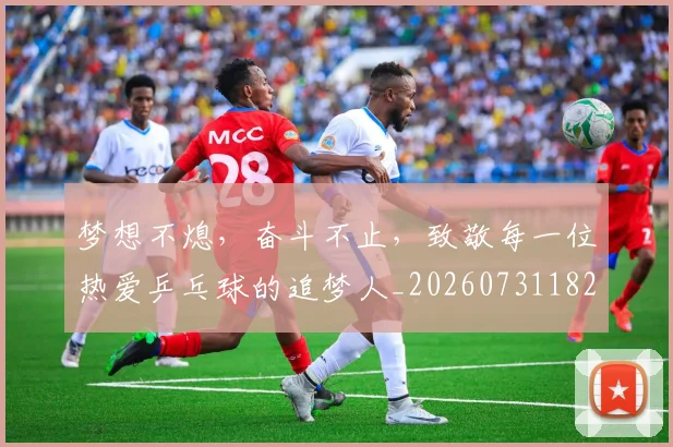 梦想不熄,奋斗不止,致敬每一位热爱乒乓球的追梦人_20260731182922