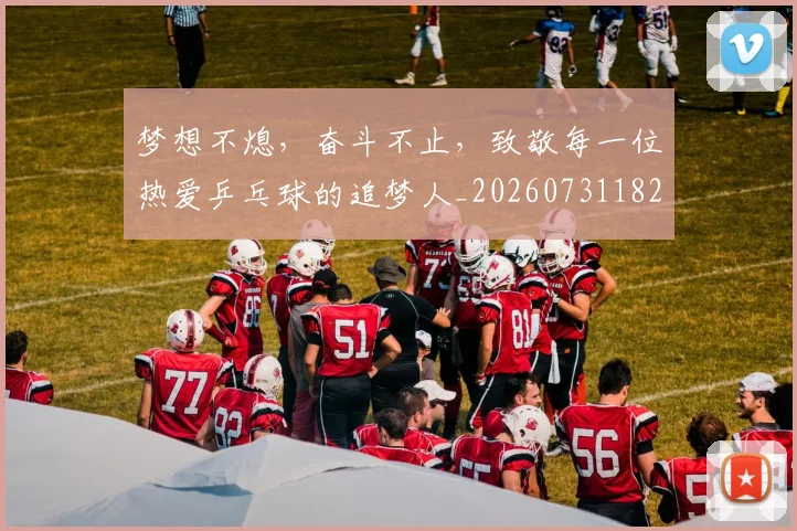 梦想不熄，奋斗不止，致敬每一位热爱乒乓球的追梦人_20260731182922