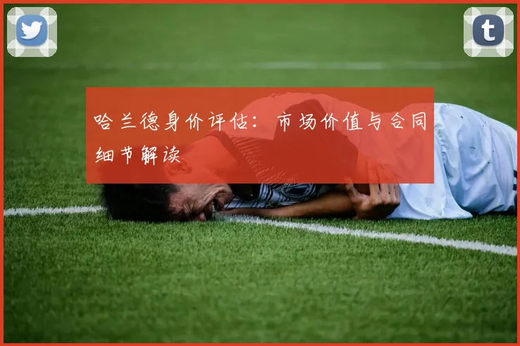 哈兰德身价评估:市场价值与合同细节解读