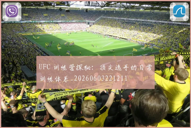 UFC 训练营探秘：顶尖选手的日常训练体系_20260603221211